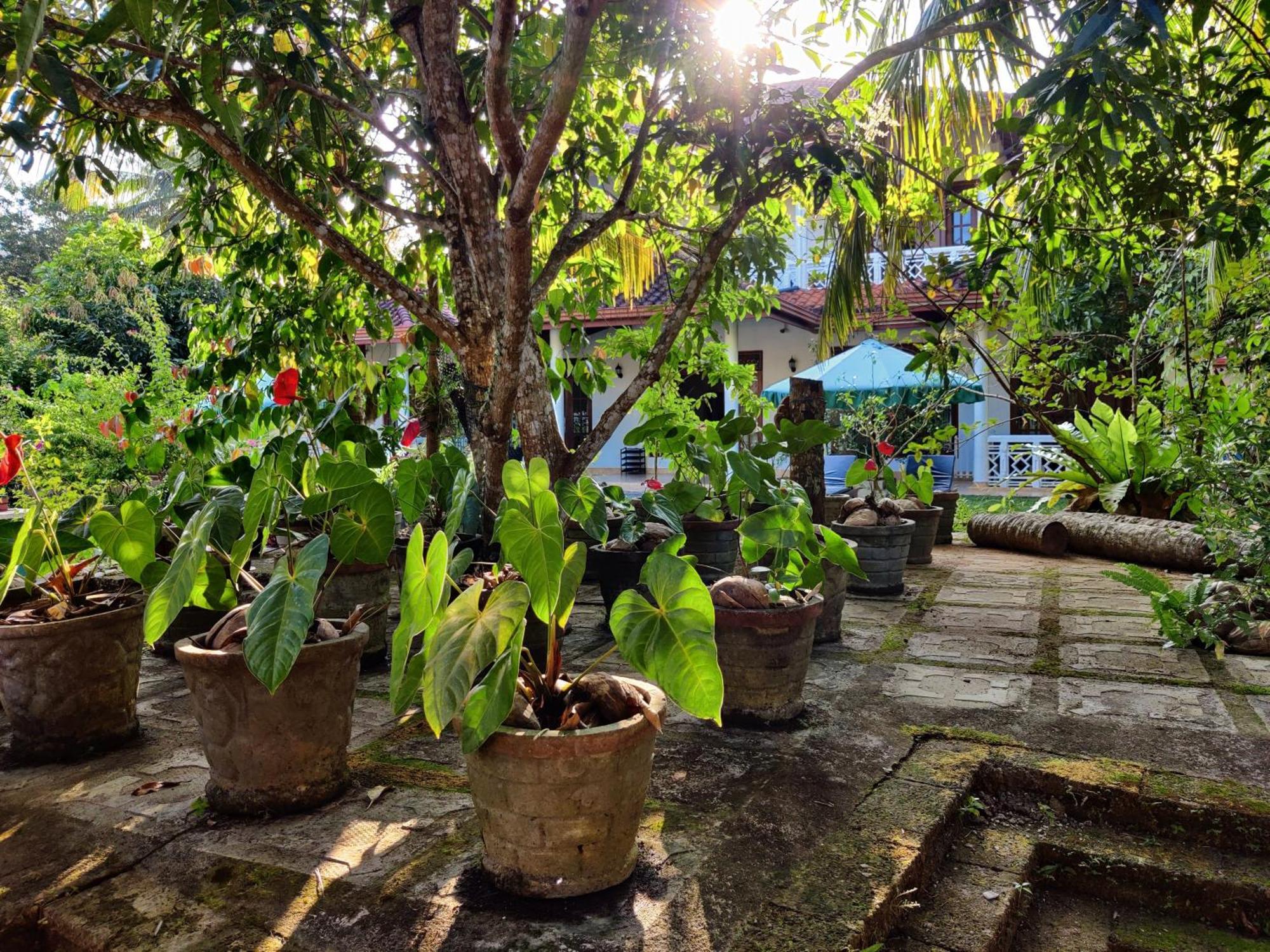 Siroma Villa Bentota Extérieur photo